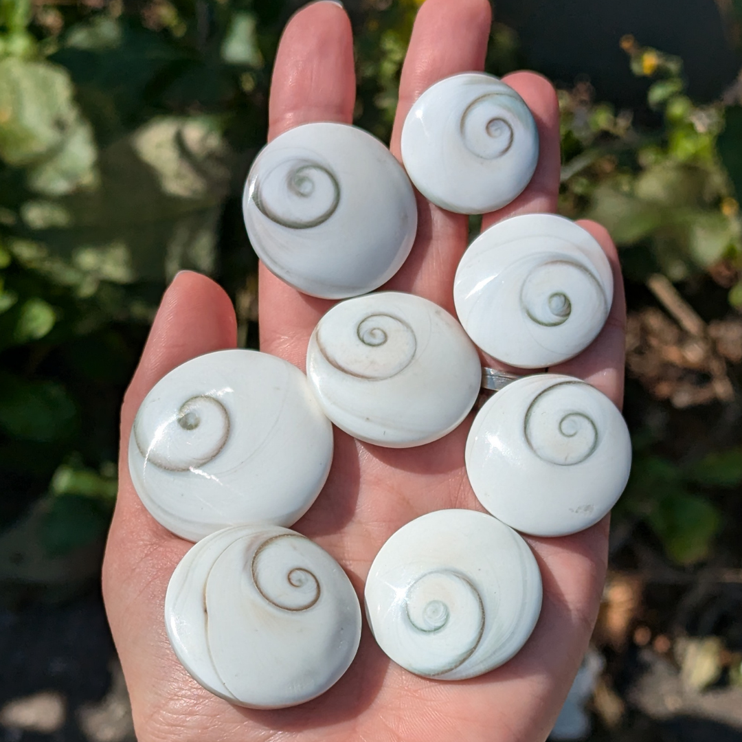 shiva øje lommesten