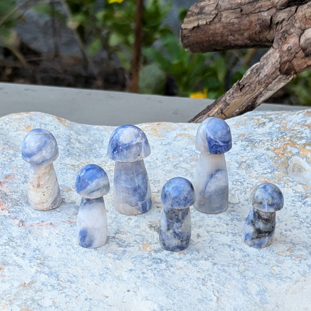 blå kvarts svamper