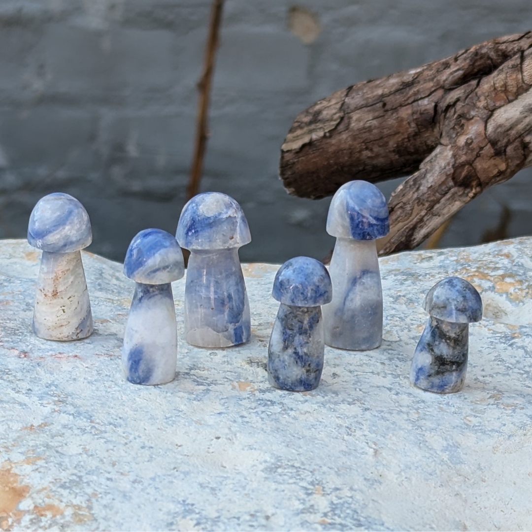 blå kvarts svamper