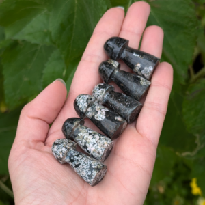 blomster jaspis svamper