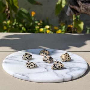 dalmatiner jaspis lommesten