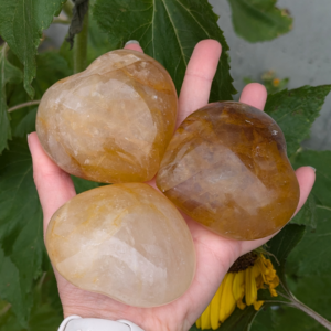 golden healer hjerter