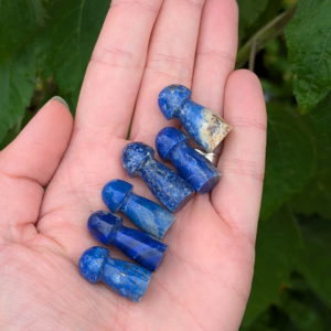 lapis lazuli svamper