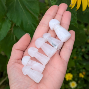 mangano calcit svamper