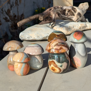 Polychrome jaspis svamper