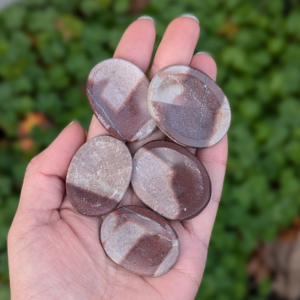 shiva lingam nussesten