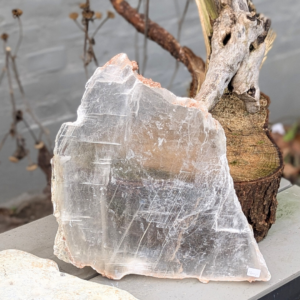 englevinge selenit plade