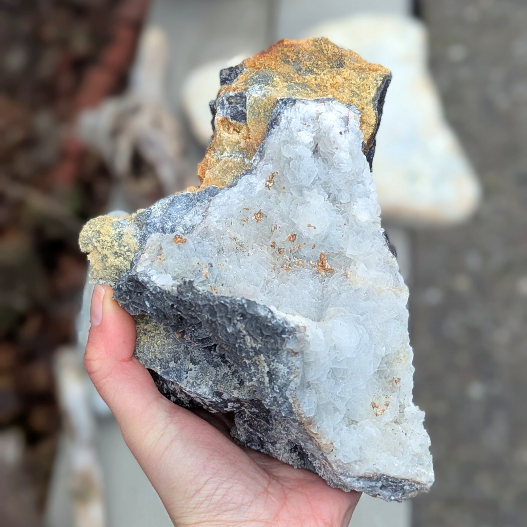 hvid sort calcit med galena